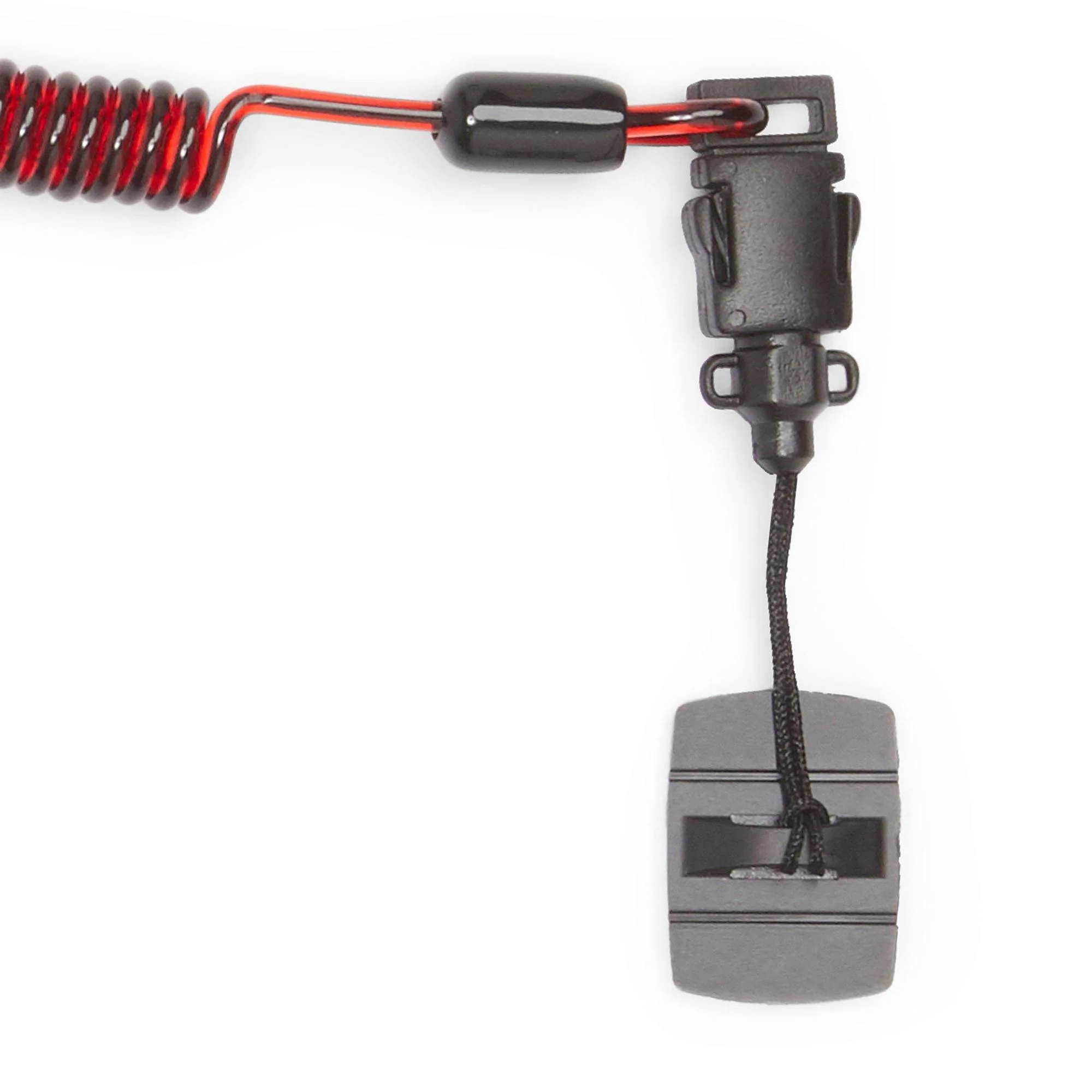 E-Catch - Image 5